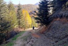 Photo of Afyon Campsites Map