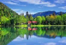 Photo of Artvin Campsites Map