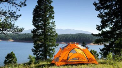 Photo of 10 Life-Saving Tips for First-Time Campers